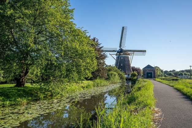 Getting Around South Holland