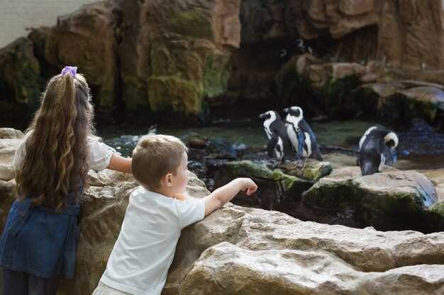 Scopri i 18 migliori zoo a Madrid e dintorni per gli amanti degli animali