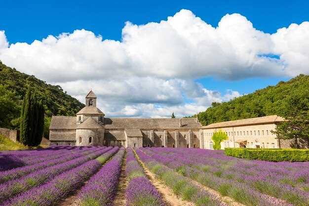 Discover the Beauty of Château de Chambord: A Must-Visit in the Loire Valley