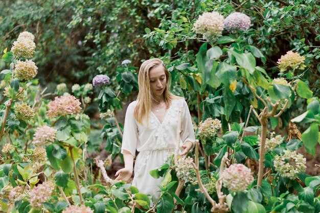 Entdecken Sie die Schönheit des Hortus Botanicus: Amsterdams bezaubernder Botanischer Garten