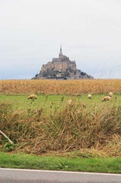 Discover the Best Things to Do in Normandy, France: Top Attractions and Hidden Gems