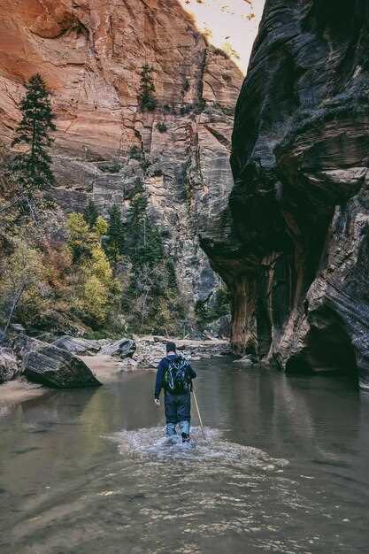 Zion National Park: Trails and Landscapes