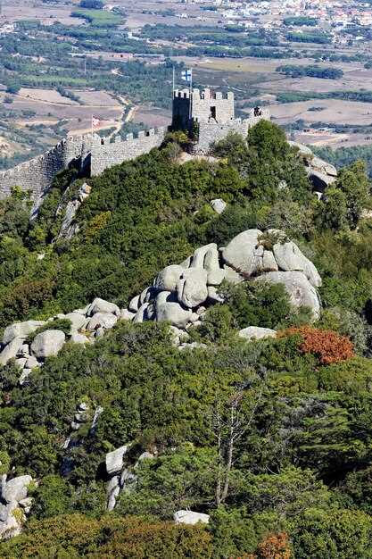 Discover the Charm of Grand Est: Your Ultimate Guide to This Hidden Gem in France