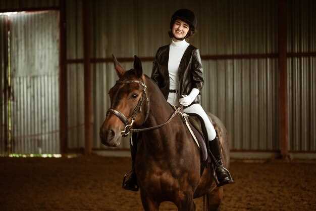 About the Spanish Riding School