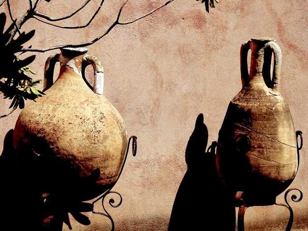 Exploring the Legacy of Leonardo da Vinci's Vineyard