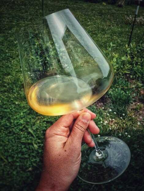 Discover the Magic of Leonardo's Vineyard: A Journey Through Wine and Art