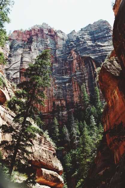 Essential Packing List for Outdoor Activities