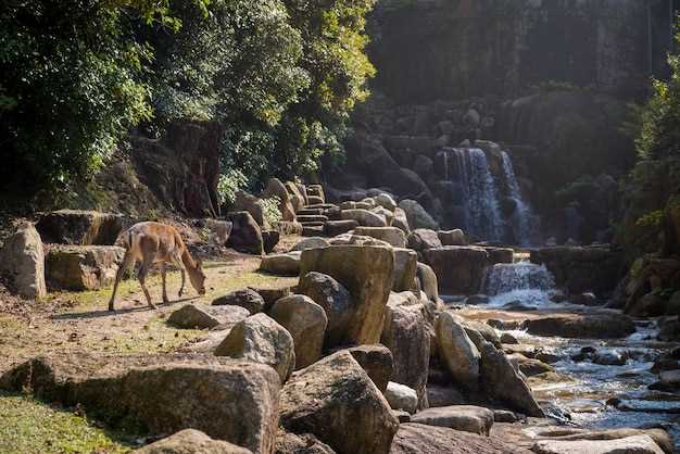 Top Historical Zoos to Explore