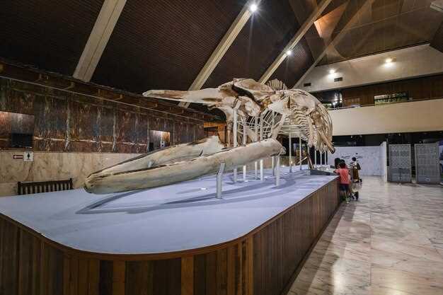 Discover the Rich History and Exhibits of Musée National de la Marine
