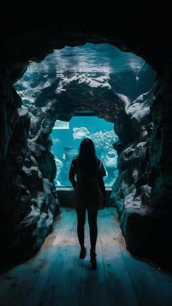 Discover the Secrets of Explore Inside: A Journey into Intriguing Insights