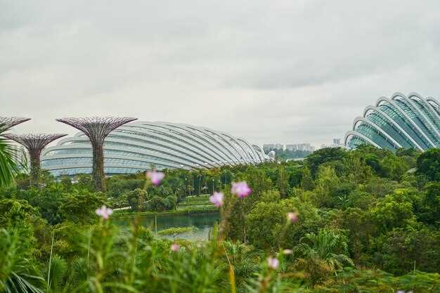 SuperTree Grove: Iconic Structures and Light Shows