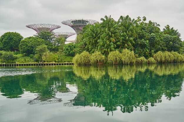 Exploring the Different Zones of Gardens by the Bay
