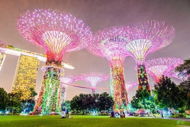 Discover the Wonders of Gardens by the Bay: A Must-Visit Singapore Attraction
