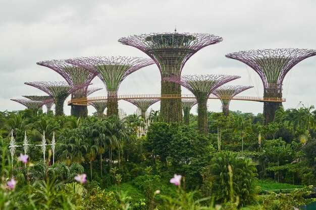 Objevte divy Gardens By The Bay Singapur: Ráj, který musíte navštívit