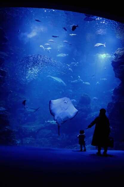 Discover the Wonders of L'Oceanogràfic: A Guide to the Largest Aquarium in Europe