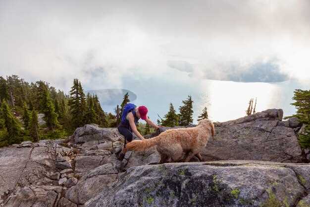 Planen Sie Ihren Besuch im Yellowstone-Nationalpark