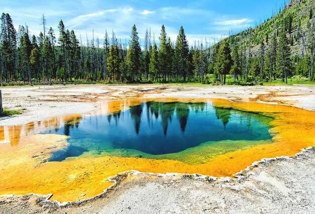 Entdecken Sie die Wunder des Yellowstone-Nationalparks, Wyoming: Ein umfassender Leitfaden