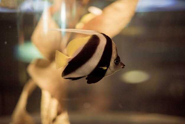 What Marine Species Can You Encounter?