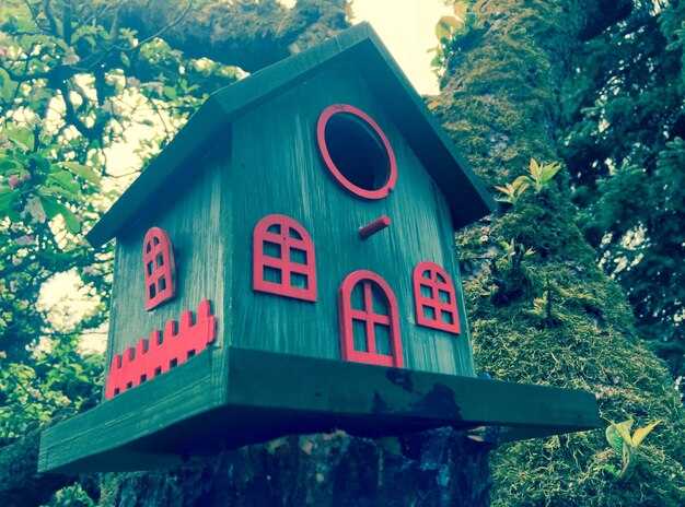 Treehouse Villas at Saratoga Springs: Practical Details for a Bucket-List Stay