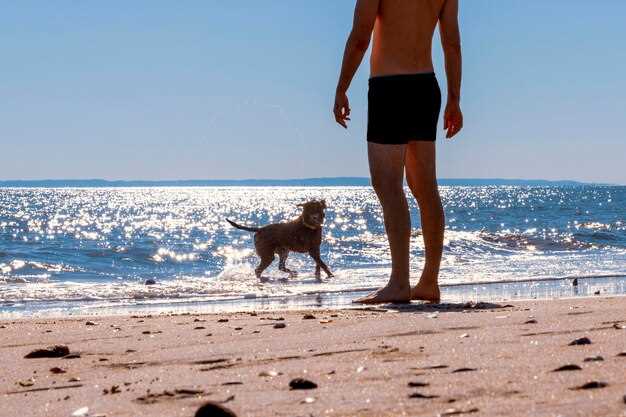 Mallorca: Quiet, Dog-Friendly Beaches and Seasonal Restrictions