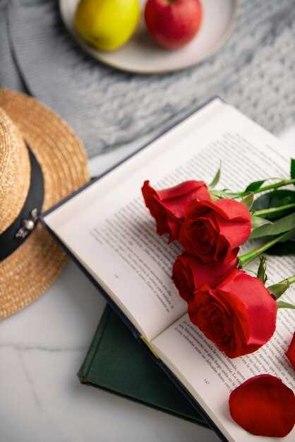 Dragons, Books, and Roses: Celebrate Sant Jordi Day in Style