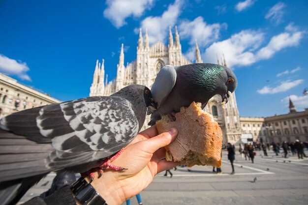 Bilete pentru Domul din Milano: Ghidul tău esențial pentru a vizita simbolul iconic al orașului Milano