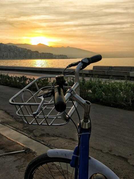 Electric Bike Tour - Half Day in Saint-Émilion | Wine Country Experience