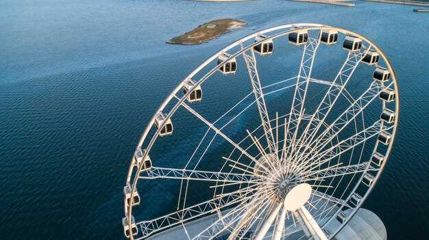 Eleva la tua visita a San Francisco: ammira viste mozzafiato dalla SkyStar Observation Wheel