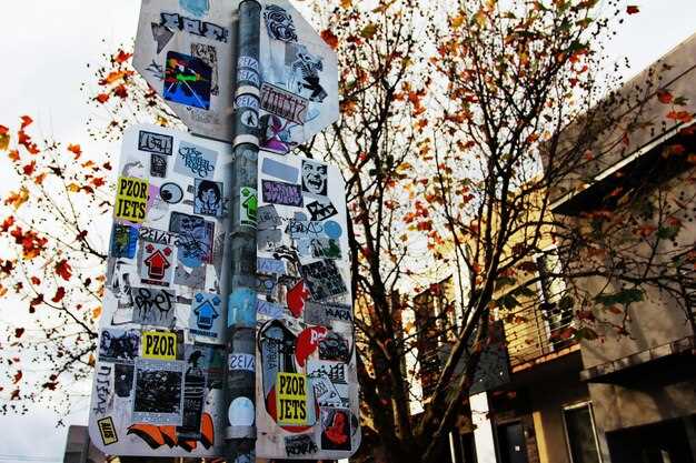 Enjoy Osaka, Kyoto & -     Onsite Experience