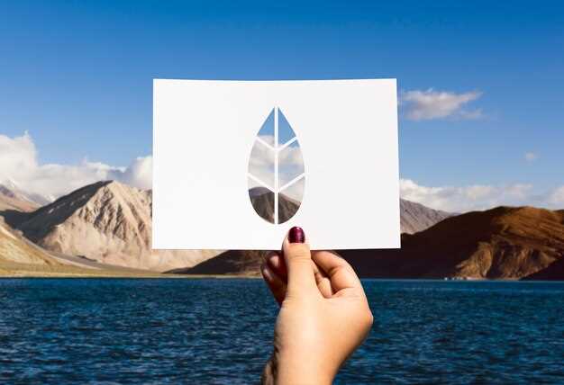 Money and Programs: Grants, Subsidies, and Support for Climate Action in Ireland and the UK