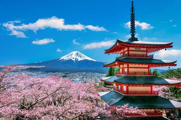 Bagages d'hiver et itinéraire pour visiter le mont Fuji et le lac Ashi depuis Tokyo