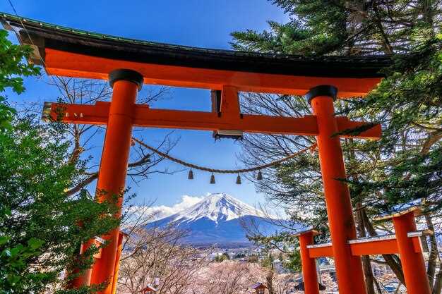 Quoi emporter pour le mont Fuji et le lac Ashi en hiver : vêtements, équipement, eau et documents