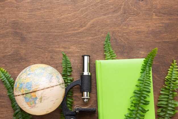 Ghid esențial pentru Geografie Mondială 2B 24-25-2B: Sfaturi și Resurse pentru Temele de Acasă