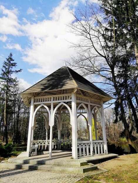 Pines, Evergreen Backdrops, and Their Role in European Garden Design