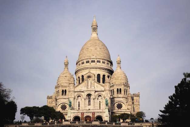 Exclusive Semi-Private Guided Tour of Notre-Dame Cathedral and Sainte-Chapelle in Paris
