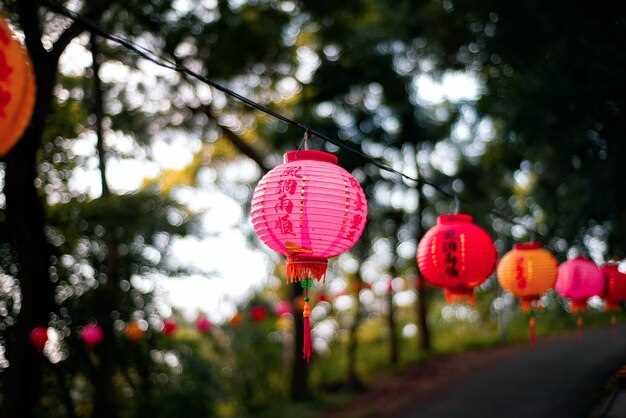 Experience a Lantern-Making Workshop in Hoi An – Create Your Own Lantern