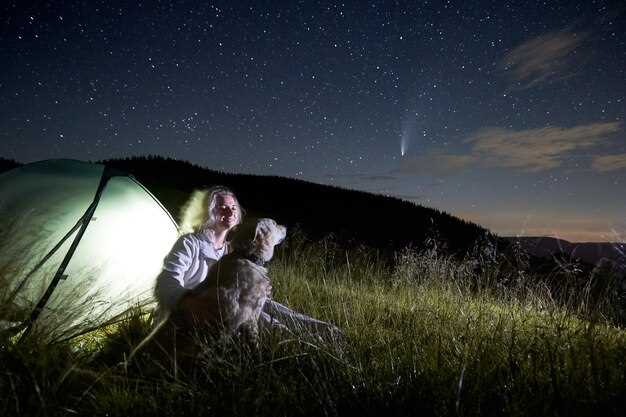 Experience the Magic of a Night Visit: Unforgettable Adventures Await