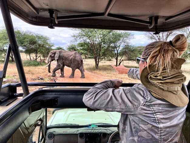 Ervaar de Ultieme 20-daagse Accommodatie Tour van het Kruger National Park naar Kaapstad Ervaar de Ultieme 20-daagse Accommodatie Tour van het Kruger National Park naar Kaapstad