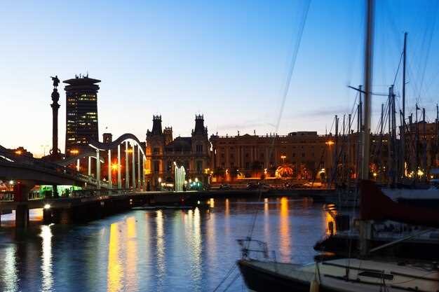 Explore Amsterdam: Van Gogh Museum Canal Cruise Experience