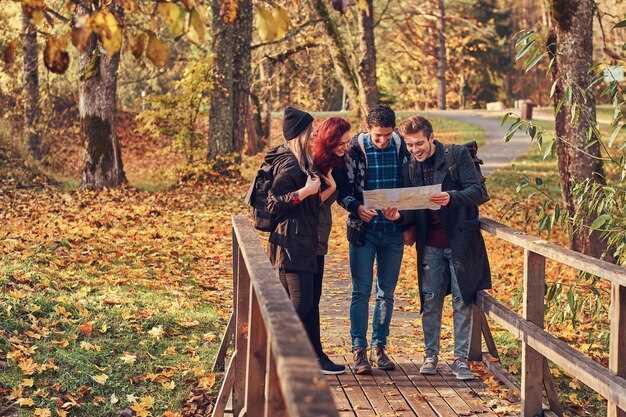 Top Walking Trails for Nature Lovers