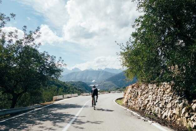 Tips for Navigating Local Traffic and Roads