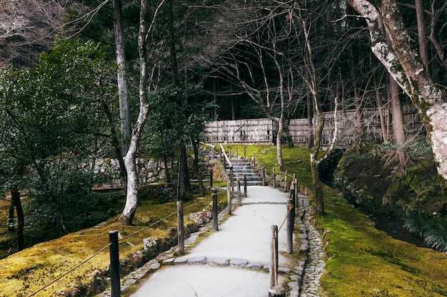 Erkunden Sie Japans neue Goldene Route mit dem Hokuriku Arch Pass Teil 3: Fukui, Shiga, Kyoto & Osaka