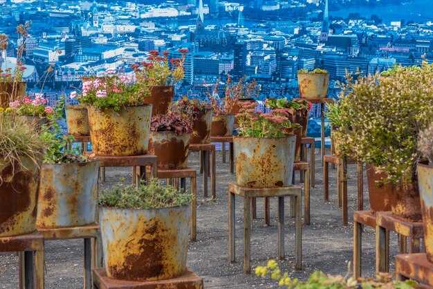 Marrakesch entdecken: Majorelle-Garten, YSL-Denkmäler und lokale Märkte