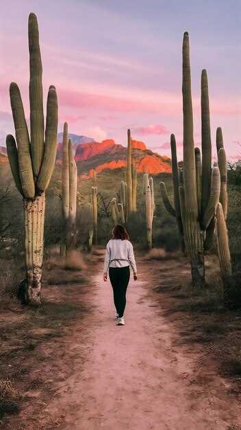 Explorez le Mexique avec le Guide de Conversation Espagnol Mexicain de Lonely Planet - Votre compagnon de voyage ultime Explorez le Mexique avec le guide de conversation espagnol mexicain Lonely Planet : votre compagnon de voyage ultime