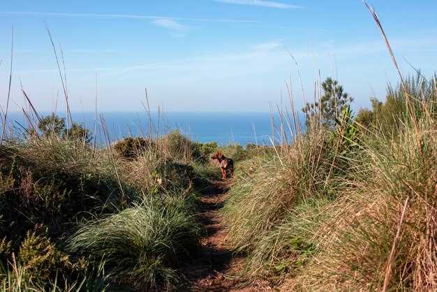 Explore Tasmania's Wild Natural Beauty: Untamed Landscapes, Coastlines & Trails