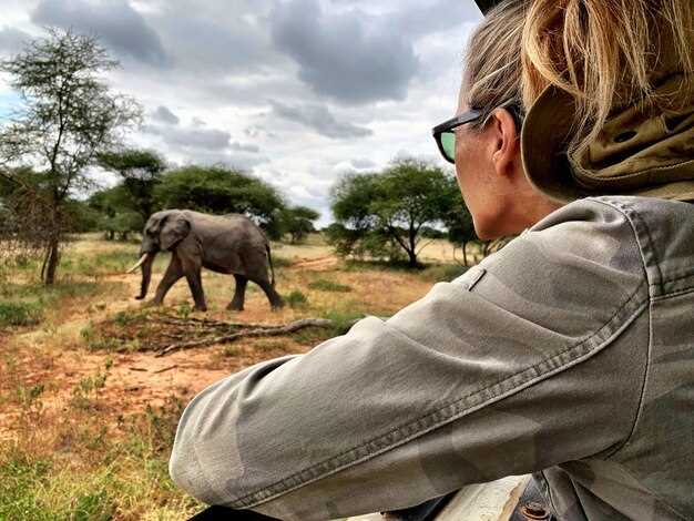 Nairobi Safaris