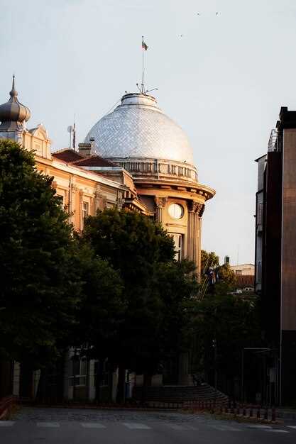 What are the Origins of the Capitoline Museums?