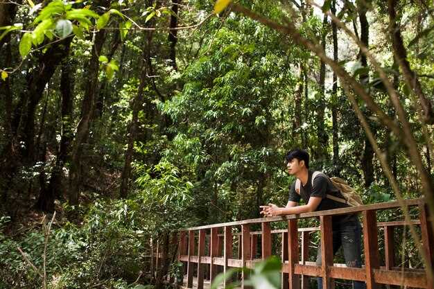 Explore the Wonders of Botanical Gardens in Singapore: Nature's Oasis in the City