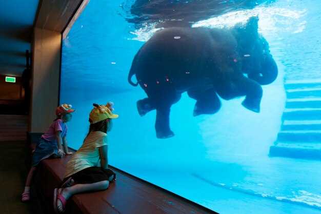 Ontdek de wonderen van SEA LIFE Sydney Aquarium - Een complete bezoekersgids Verken de Wonderen van SEA LIFE Sydney Aquarium: Een Complete Bezoekersgids