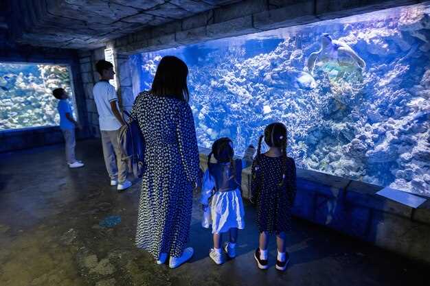 Beluga Whales: The Main Attraction at Oceanogràfic